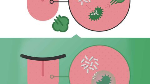 antibacterial mouthwash