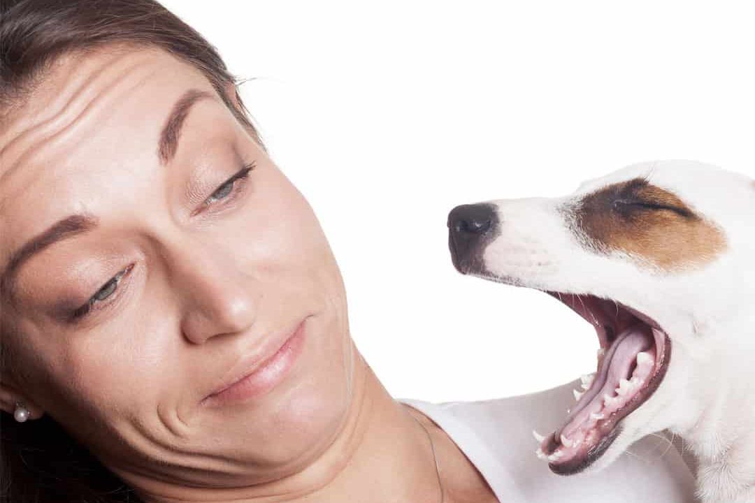 bad dog breath