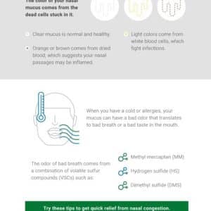 does-nasal-congestion-contribute-to-bad-breath-embed does-nasal-congestion-contribute-to-bad-breath-embed